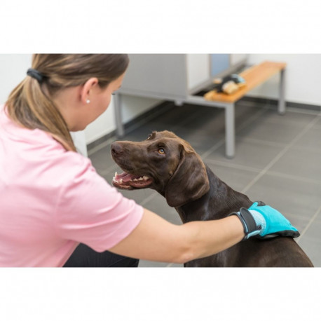 Karvahoolduskinndad, nailon/kumm 16 x 23 cm