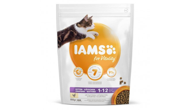 Visavertis sausas pašaras Kitten kanaga 800g kačiukams, Iams