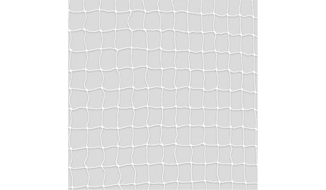 Protective net, 6 × 3 m, transparent