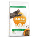 Полноценный сухой корм IAMS CAT Adult с бараниной 3 кг для кошек