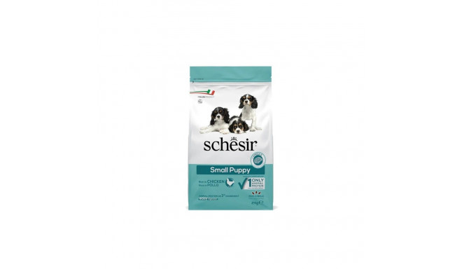 With chicken 2kg Dry food for puppies, Schesir