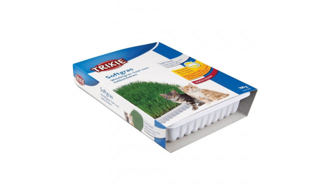 Kassimuru BIO karbis 100 g