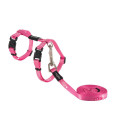 Cat harness with leash kiddycat pink hearts 24-40cm/1.8m, Rogz