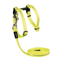 Kassirakmed jalutusrihmaga alleycat dayglo 24-40cm/1,8m, Rogz