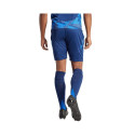 Adidas Tiro 24 Competition Match M shorts IQ4754 (M)