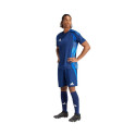 Adidas Tiro 24 Competition Match M shorts IQ4754 (M)