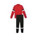 Puma Team Rise M tracksuit 658653 01 (L)