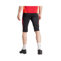 Adidas Tiro 24 Competition 1/2 M shorts IR5491 (2XL)