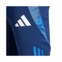 Adidas Tiro 24 Competition 1/2 M IR5490 shorts (S)