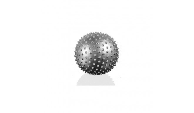 Pilatese pall Gymstick Pilates Rolling Ball 20 cm