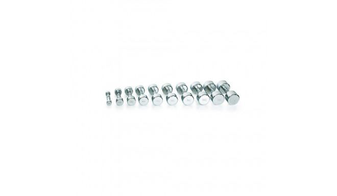 Hantel Gymstick Pro Chrome Dumbbell 0.5 kg