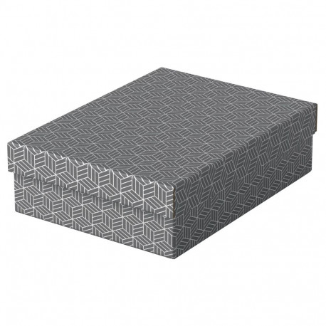 Storage Box Esselte Home M Low Grey P/3