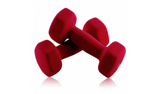 Dumbbells Joluvi 236464099 2,5 kg Red 2 Units