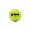 Теннисные мячи Wilson Championship XD  (3 pcs)