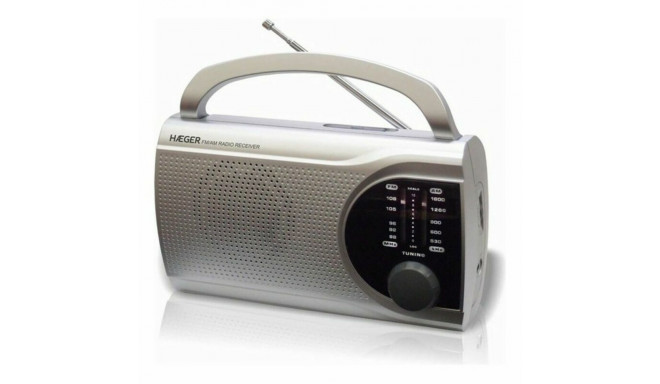 AM / FM радио Haeger PR-BIB.004B Серый