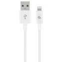 Valgustuskaabel Cablexpert CC-USB2P-AMLM-1M-W 1 m