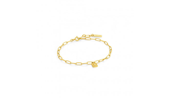 Ladies' Bracelet Ania Haie B032-01G 19 cm