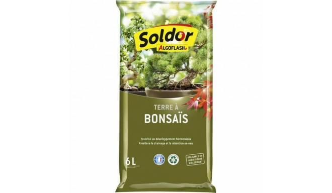 Potitaime kompost Algoflash TBONZ6 Bonsai 6 L