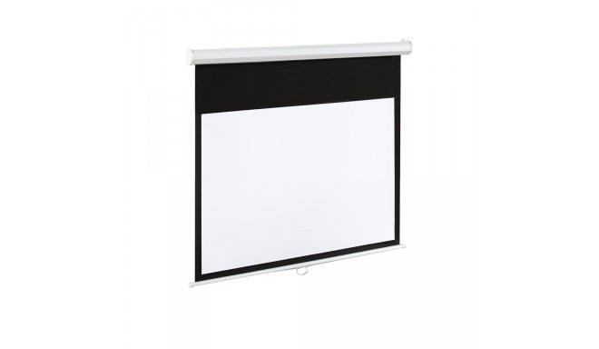 ART Display Electric EM-100 16:9 100'' 221x125cm matte white with remote control