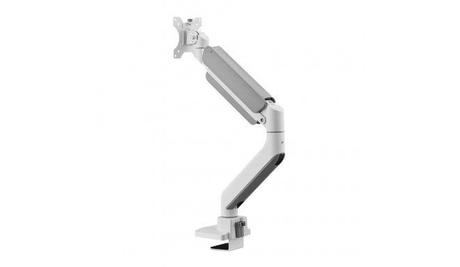 Screen Table Support Neomounts DS70PLUS-450WH1 17" 49"