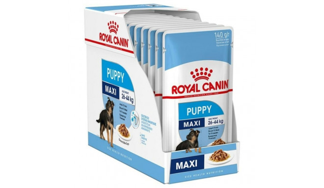 Wet food Royal Canin Maxi Puppy 10 x 140 g