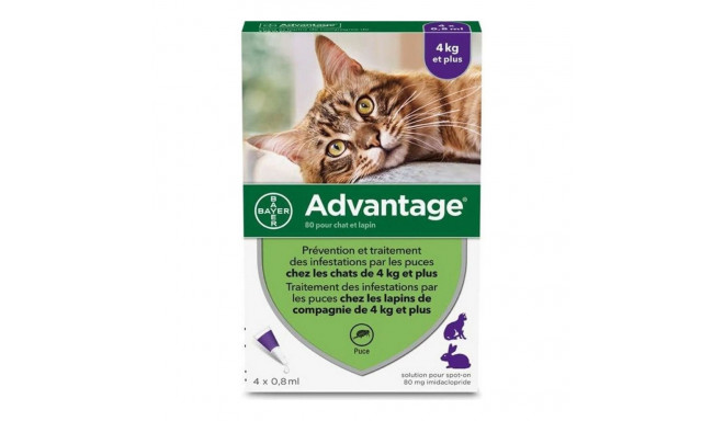 Anti-parasites Advantage Cat Rabbit +4 Kg 4 Units 0,8 ml