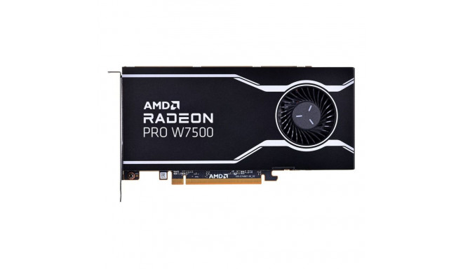 AMD graphics card 100-300000078