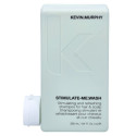 Šampoon Kevin Murphy Wash 250 ml