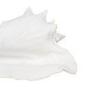 Decorative Figure White Snail 21 x 19 x 13 cm