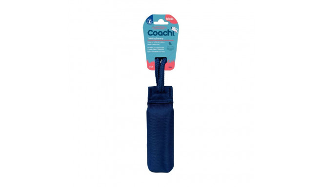 Training toy Coachi TRAINING DUMMY Sinine