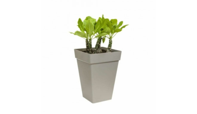 Plant pot Elho Ø 29,5 cm Anthracite polypropylene Plastic Squared