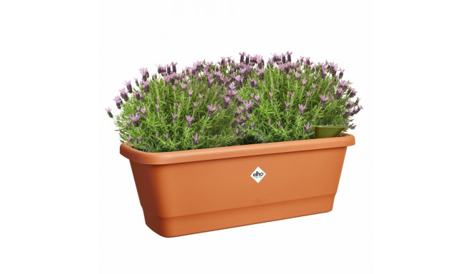 Plant pot Elho Brown Plastic Modern