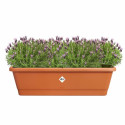 Plant pot Elho Brown 65 x 20 x 18 cm Plastic Squared Plant pot Elho Brown 65 x 20 x 18 cm Plastic Squared