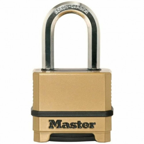 Koodlukk Master Lock Tsink