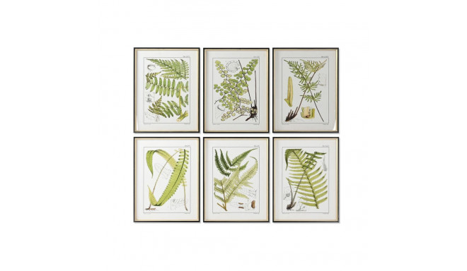 Glezna Home ESPRIT Moderns Papardes 50 x 2,5 x 65 cm (6 gb.)