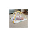 Fisher-Price Simply Senses Newborn Gym