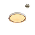 CEILING LAMP LED B2361-1L-R 49CM 45W DIM