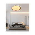 CEILING LAMP LED B2361-1L-R 49CM 45W DIM