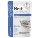 Brit Veterinary Diet Recovery märgtoit kassidele 85g