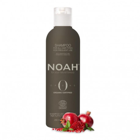 NOAH šampoon Original orgaaniline 250ml
