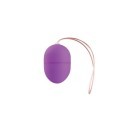 10 Speed Remote Vibrating Egg Purple