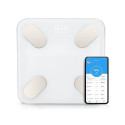 CP B2 Glass Bluetooth Smart Body Scale with P