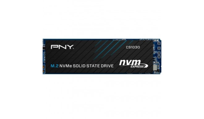 SSD 1TB M.2 CS1030 M280CS1030-1TB-RB