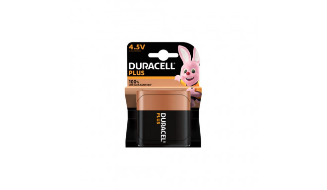 Alkaline Battery DURACELL PLUS K1