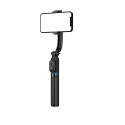 Devia selfie stick Bluetooth tripod C10 black