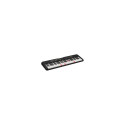 Casio LK-S250 digital piano 61 keys Black