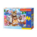 Castorland puzzle Kittens&Flowers 70pcs