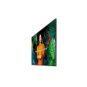 Monitor 50 inch QB50C LH50QBCEBGCXE