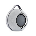 Devialet Mania Light Grey