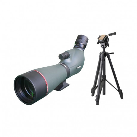 Kit Focus Viewmaster ED 20-60x80 with Velbon VM638